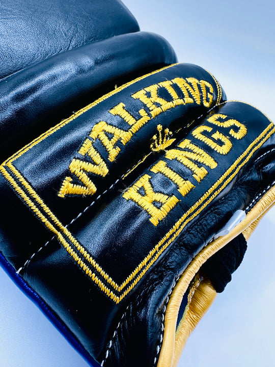 The King’s Armour custom sparring/training Set